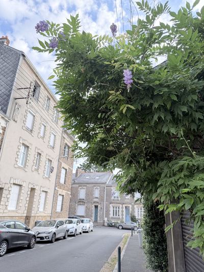 Hauts-Pavés, Nantes
