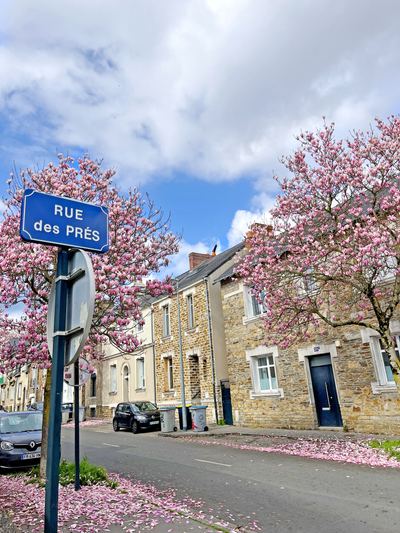 Rue Casimir Périer, Saint-Pasquier